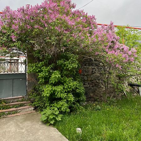 Soso Burduli'S Guesthouse Kazbegi Bagian luar foto