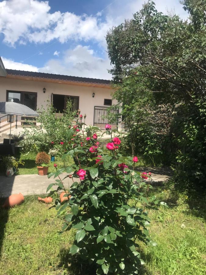 Soso Burduli'S Guesthouse Kazbegi Bagian luar foto
