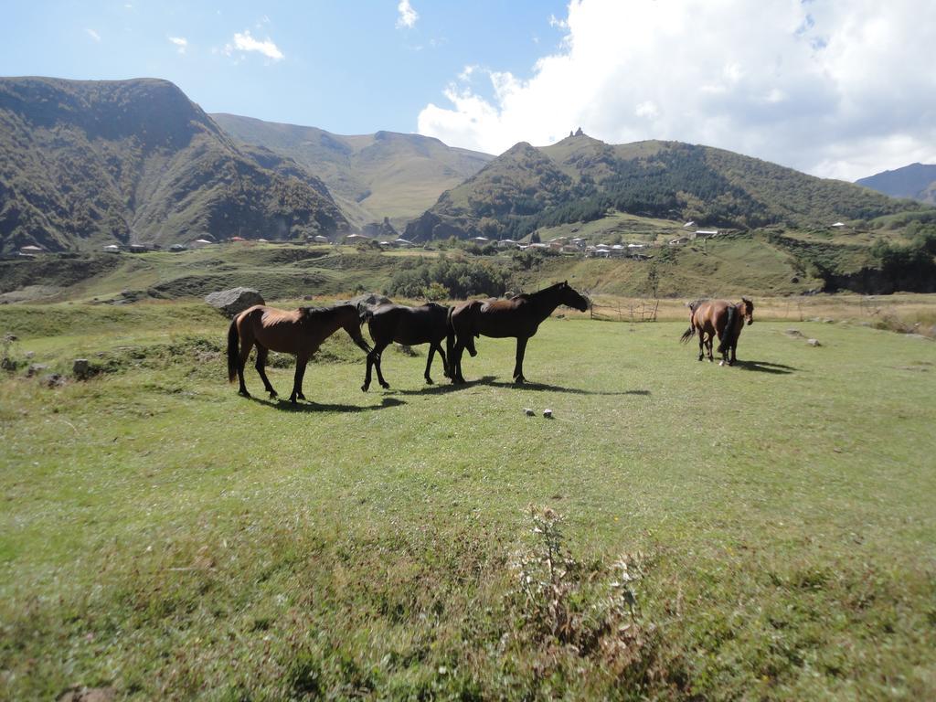 Soso Burduli'S Guesthouse Kazbegi Bagian luar foto