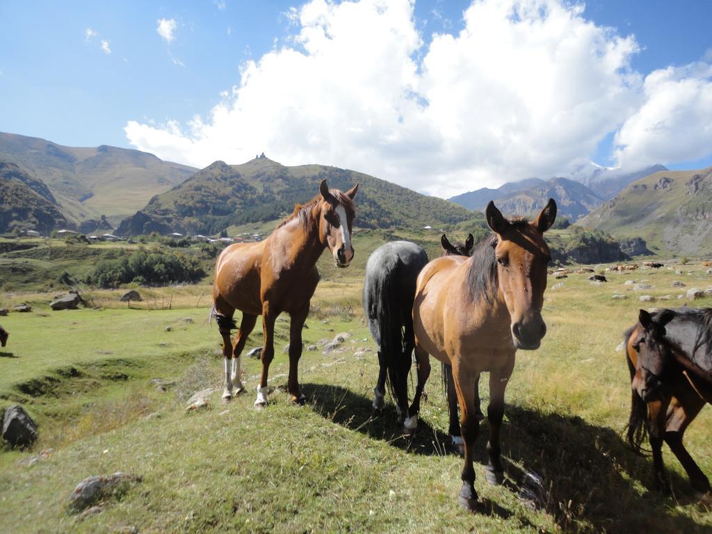 Soso Burduli'S Guesthouse Kazbegi Bagian luar foto