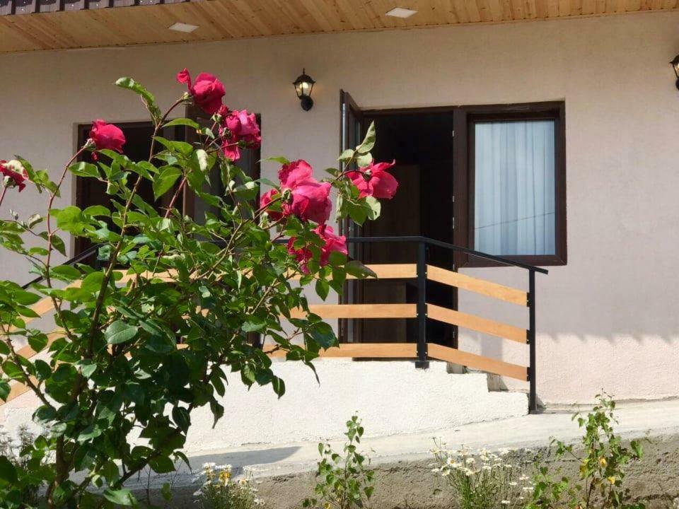 Soso Burduli'S Guesthouse Kazbegi Bagian luar foto